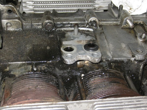 IMG_0640 (600 x 450).jpg