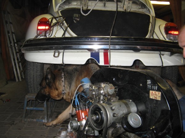 IMG_0694 (600 x 450).jpg