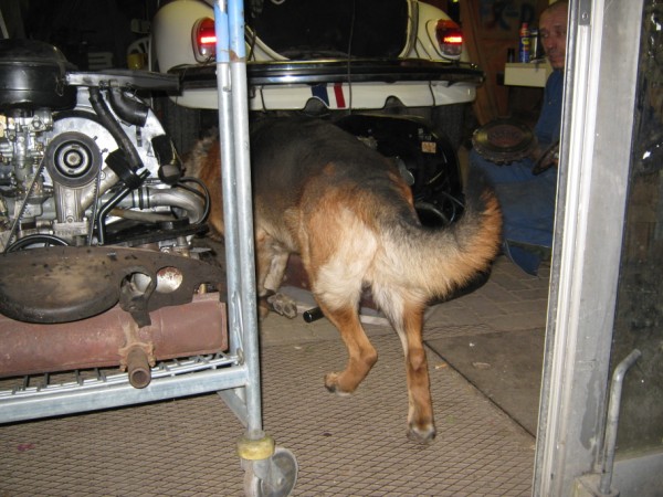 IMG_0696 (600 x 450).jpg