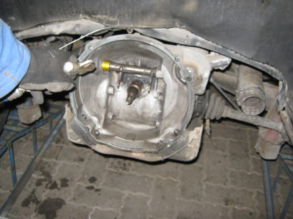 IMG_0697 (600 x 450).jpg