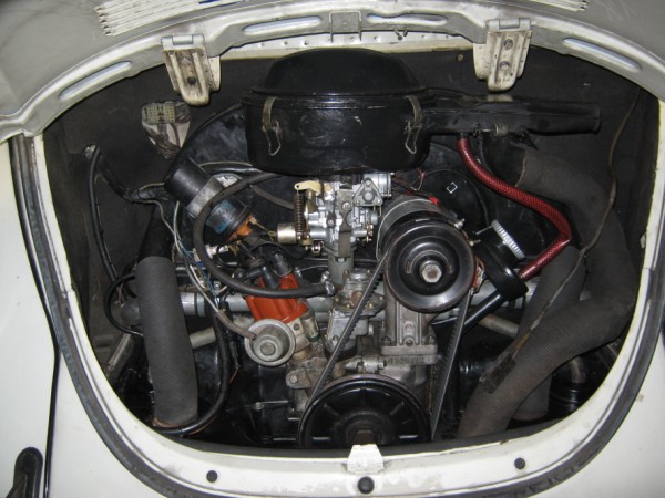 IMG_0702 (600 x 450).jpg