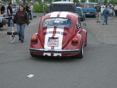 Käfer Streifen.jpg